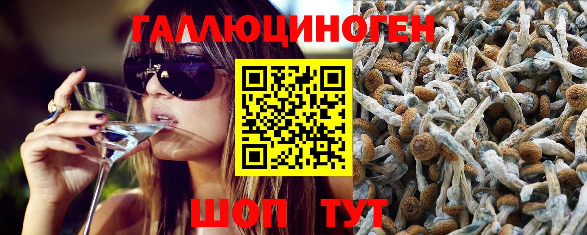 Псилоцибиновые грибы GOLDEN TEACHER Городец