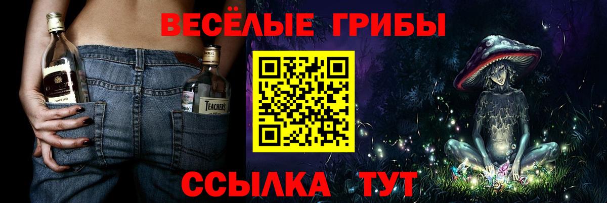 наркота  Вход с VPN  Городец  Псилоцибиновые грибы Psilocybine cubensis 